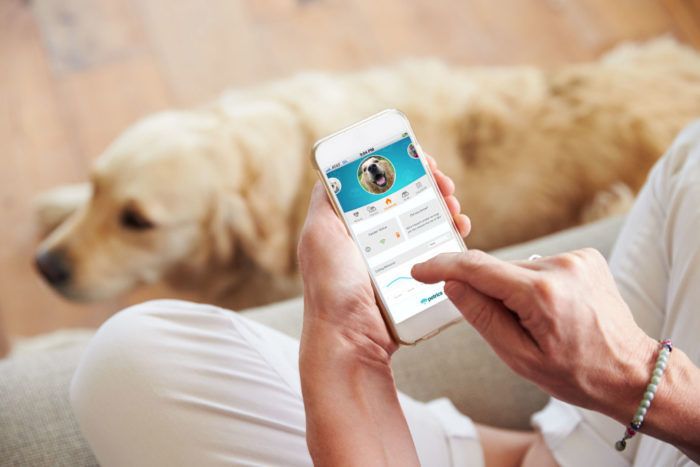 Petrics Raises Seed Round For Smart Devices That Track Pet Health From Walk to Bed