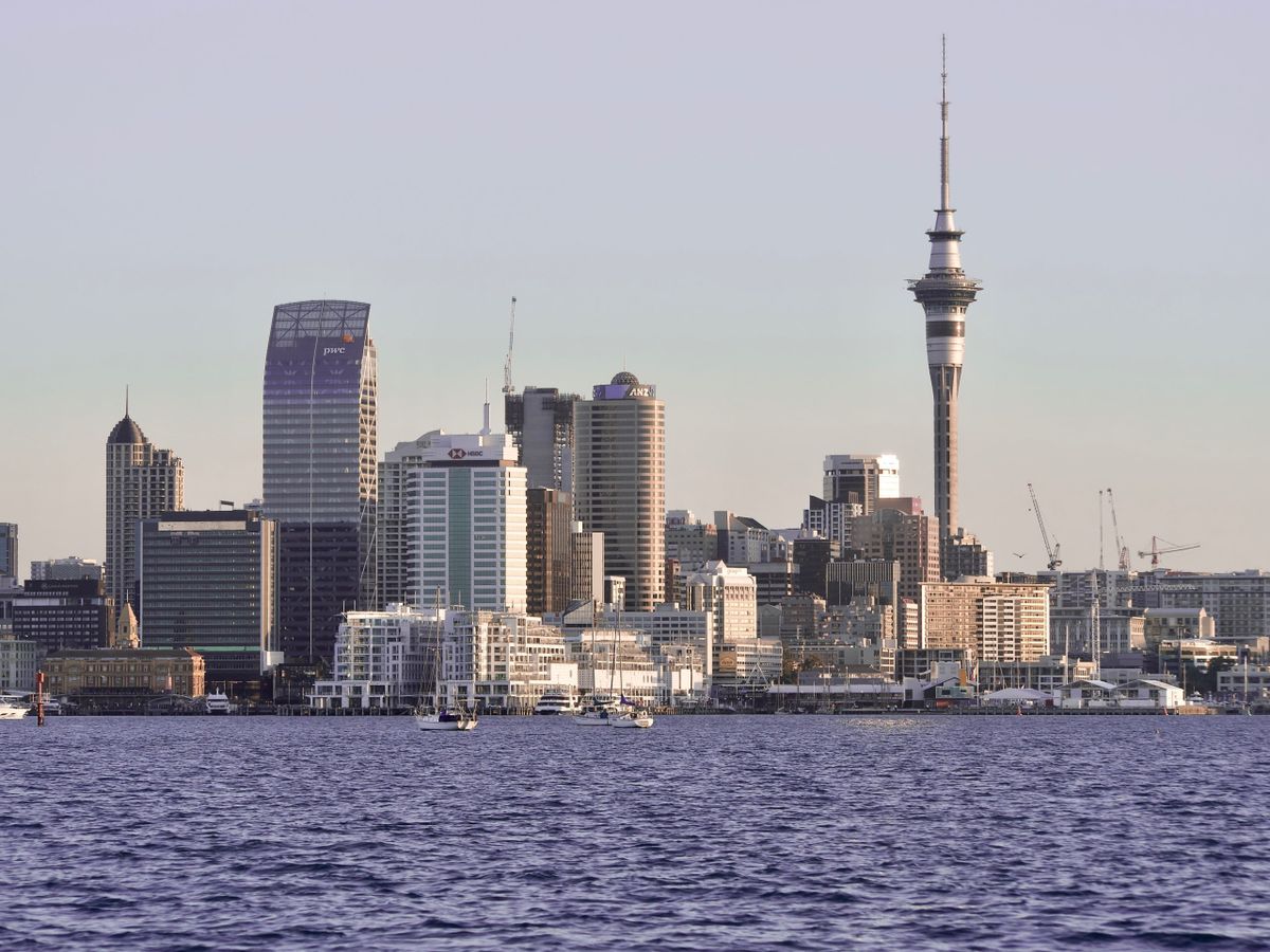 New Zealand Startup Cerulean Labs Moves HQ To Atlanta Following Local Investment