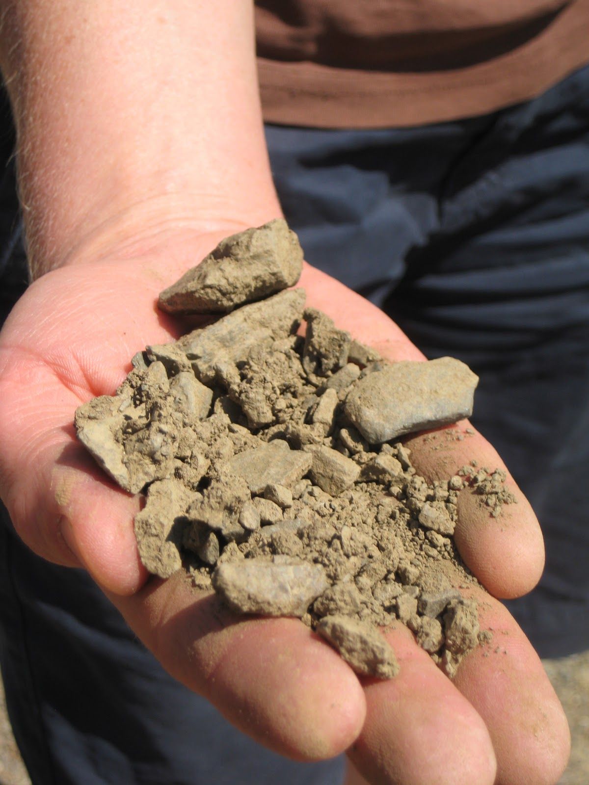 High Schoolers Develop Huge Agricultural Breakthrough