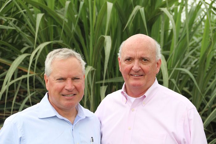 Pulp Fiction: TreeZero's Tree-Free Paper Helps Offices Across the Country Go Green