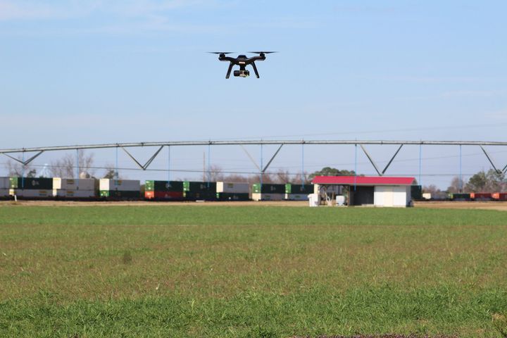 Opportunities For Innovation Within Georgia's AgTech Scene
