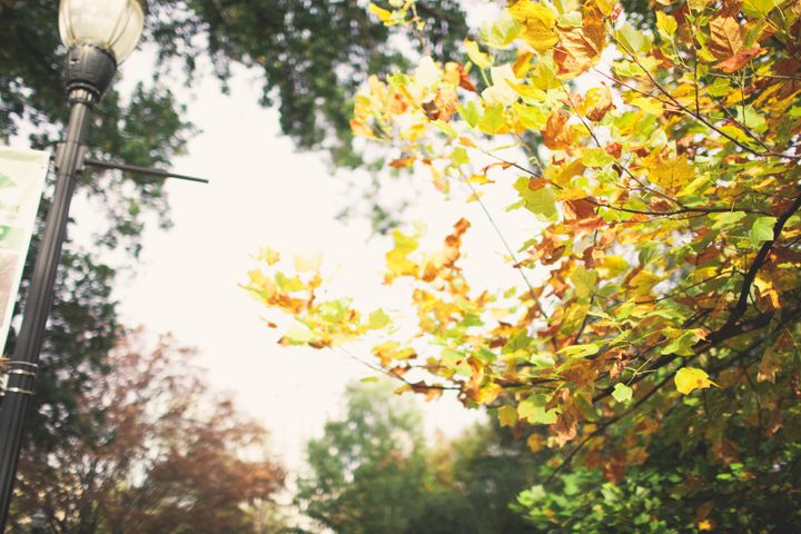 Fall Rundown | Events & Conferences