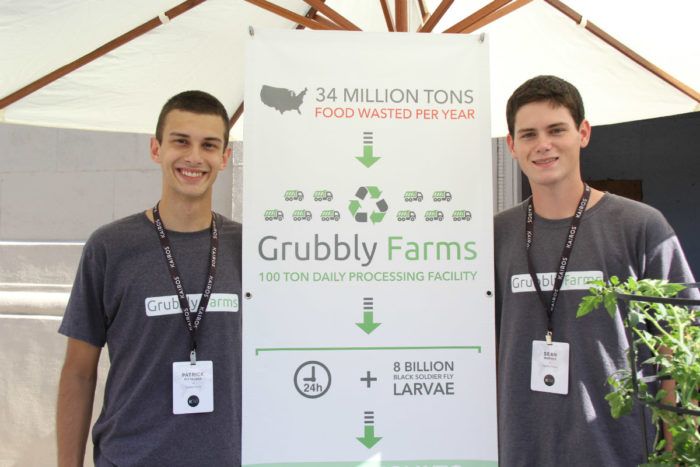 Grubbly Farms Takes On Food Sustainability with Flies