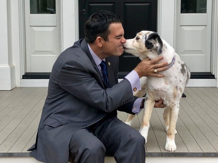 PetScreening Could Lower Your Climbing Pet Rent With Its 'Fido Score'