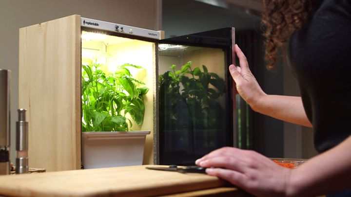 Replantable Grows to Seed Kitchens with Sustainable Eats