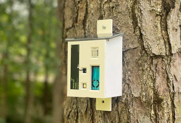 Wildfires Spark Entrepreneurial Spirit In Four Students From Charlotte