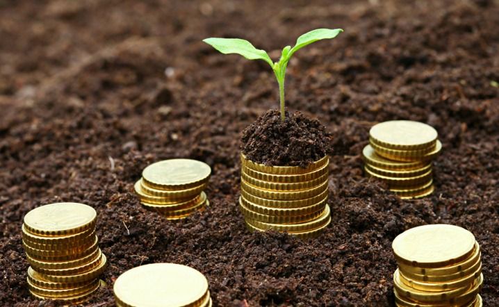 Got Seed Funding? Here's How to Manage It And Make It Last