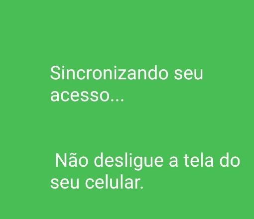 Mensagem ocupa a tela toda do usuário e não permite que ele veja o que está sendo feito por trás dela. Foto: Check Point Research.