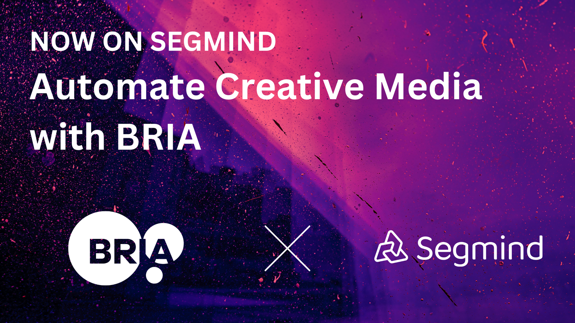 Bria.ai Models are Now Available on Segmind