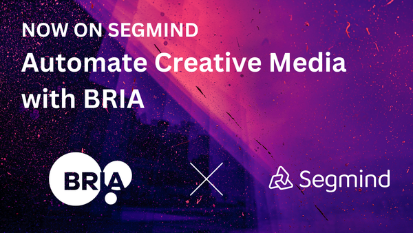 Bria.ai Models are Now Available on Segmind