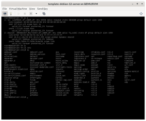 Changing the Resolution and Font Type in Debian Server