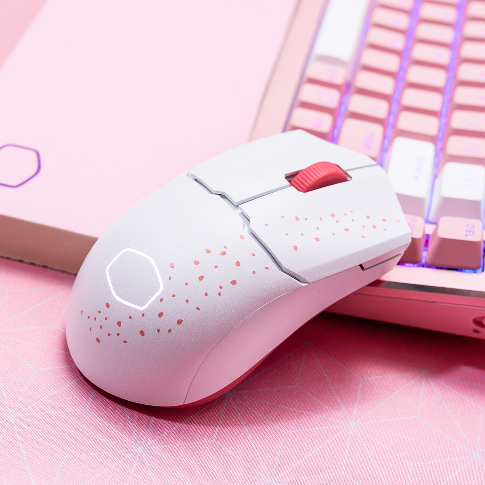 cooler master's limited edition sakura collection re-run features