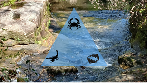 Fall 2025: The Grand Water Trine Brings Results, Ready or Not