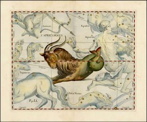 Reflections on Capricorn, the Sea-Goat