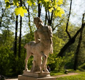 Chiron's Influence in Astrology