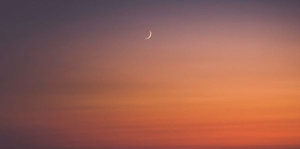 12 Holy Nights