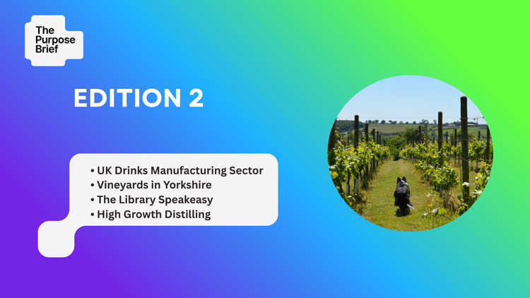 The Purpose Brief - Edition 2