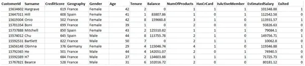 Practical Implementation of Artificial Neural Network: Churn Modeling Problem