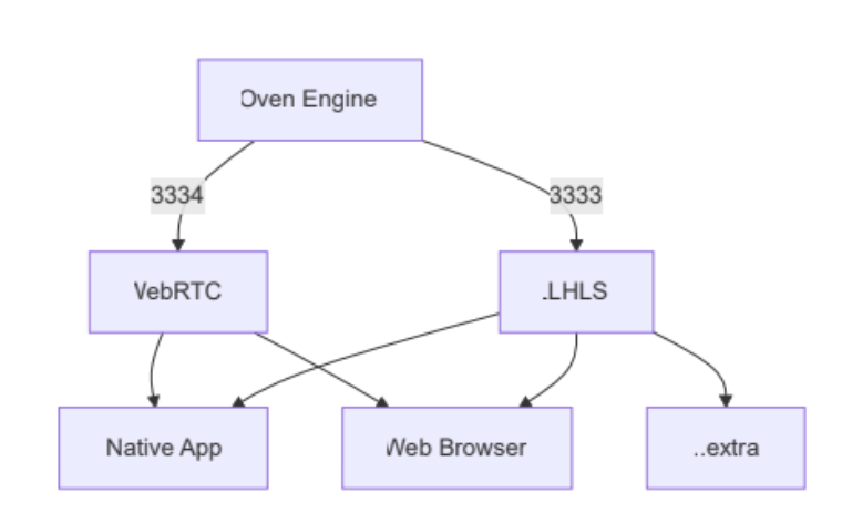 Streaming Service Output Protocols