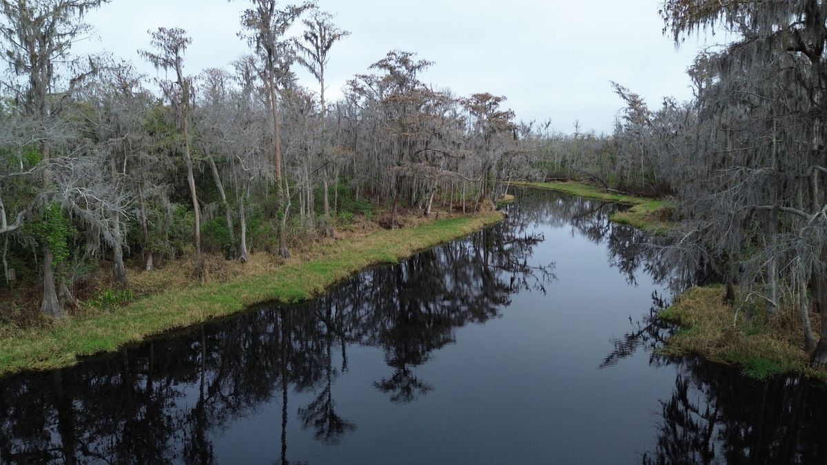 Why “Remission” Became the More Honest Word for My Journey