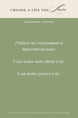 Environment Journaling Prompt