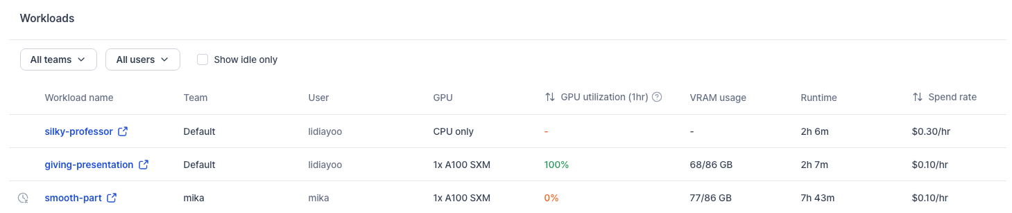 Organization workload table with team, user, VRAM usage, and runtime columns