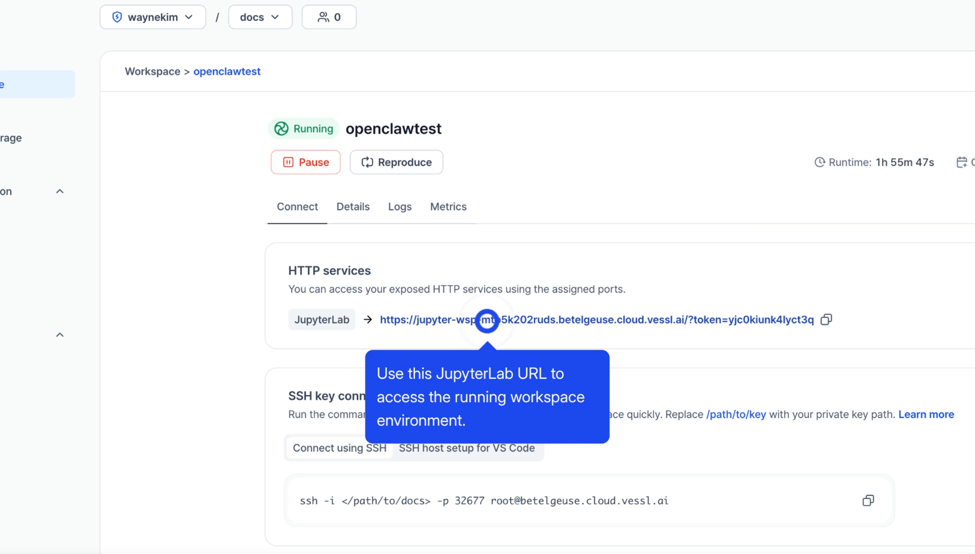 VESSL Cloud workspace 터미널 열기