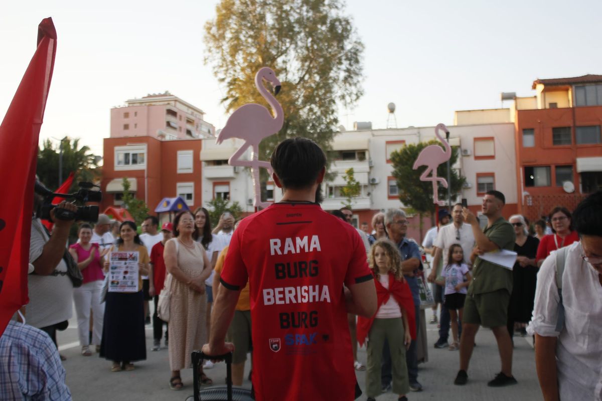 Albania: It's not just about flamingos – The protest has deep roots