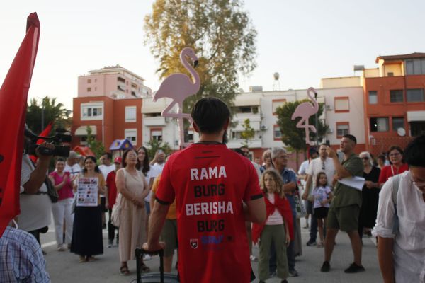 Albania: It's not just about flamingos – The protest has deep roots
