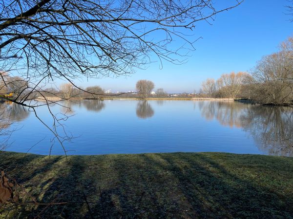 Welcome to Bromley.News – Bromley's New Community Hub