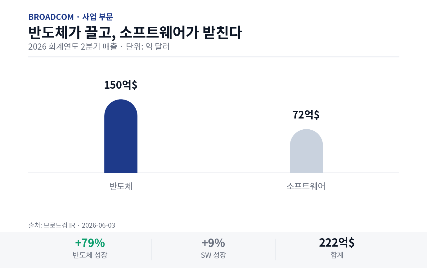 브로드컴 사업 부문별 매출 (반도체 vs 소프트웨어)