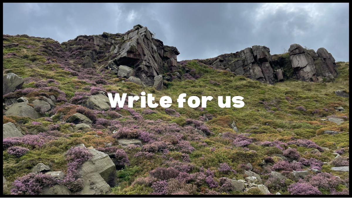 Pitch The Journal