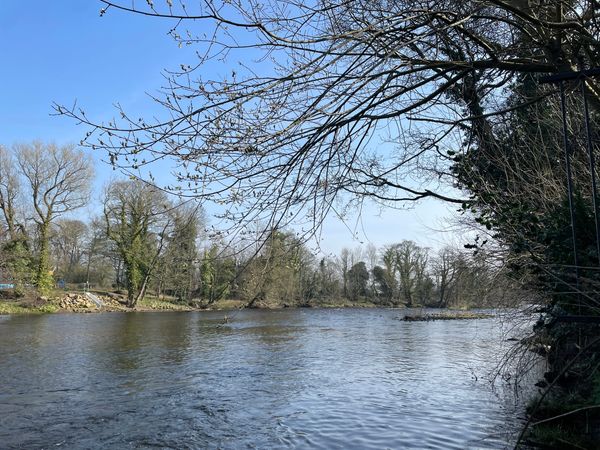 The decline of the River Wharfe is the result of a "failed experiment"