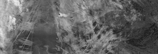 The Cost of Contrail Management