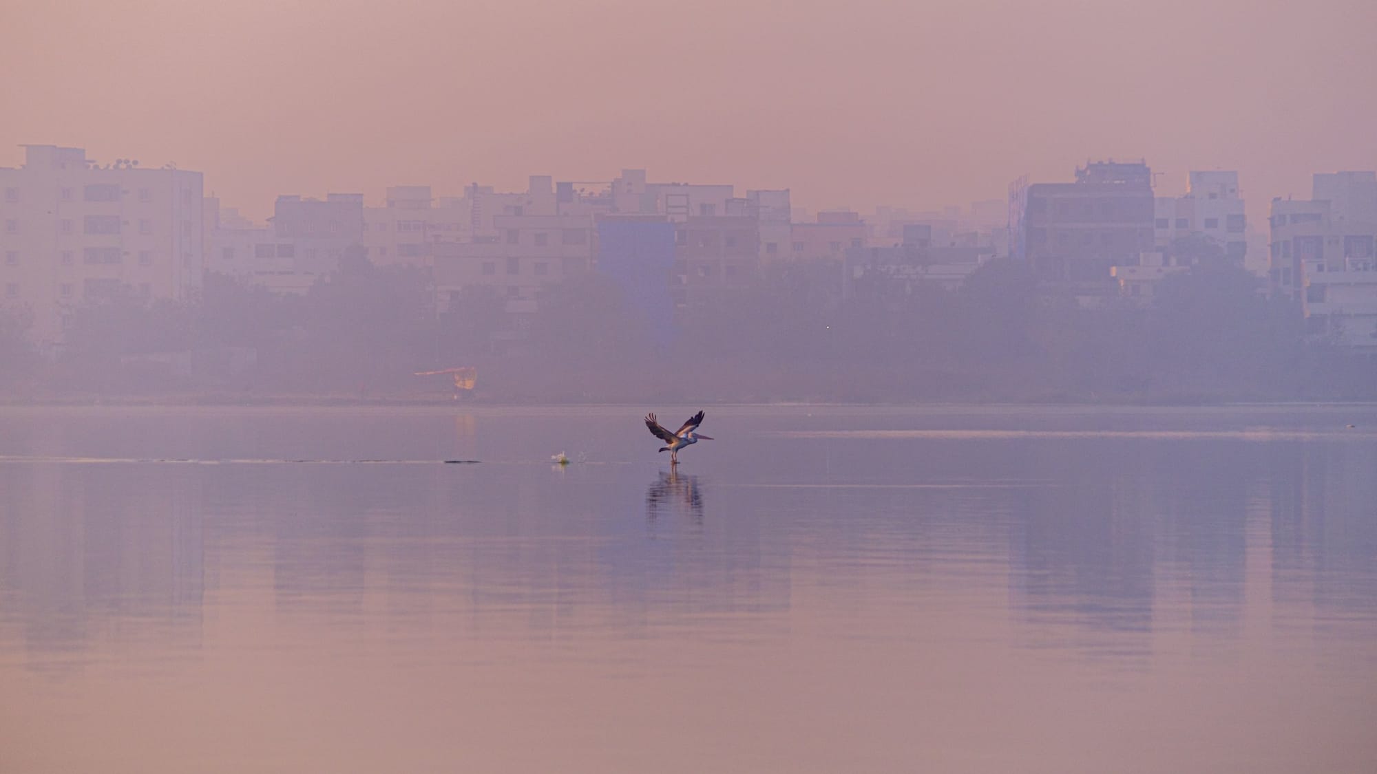 A moment of everyday beauty at dawn