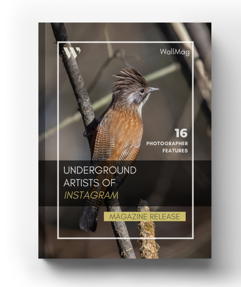 Volume 2: Underground Artist of Instagram post image