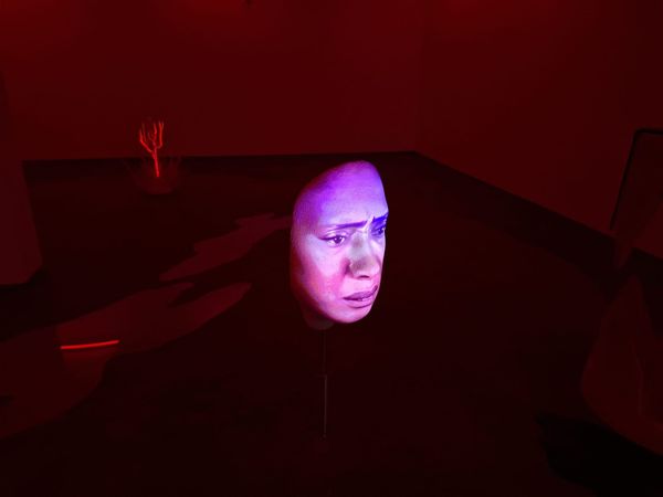 Ane Graff, A Reality Made of Breach