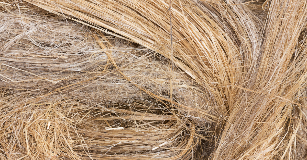 Natural warmth: rethinking insulation in a warming world