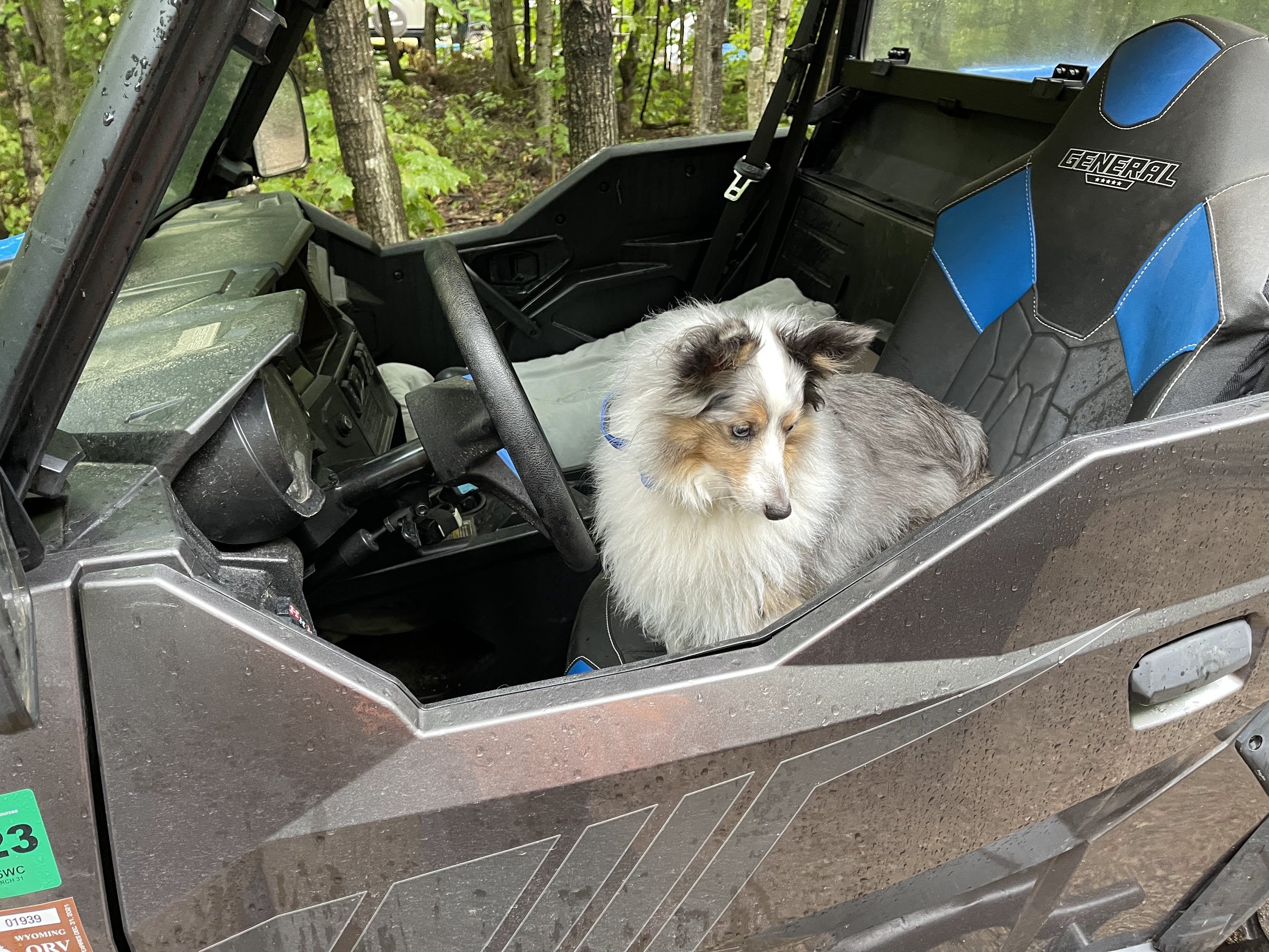  Area we going for a walk? LOL! 