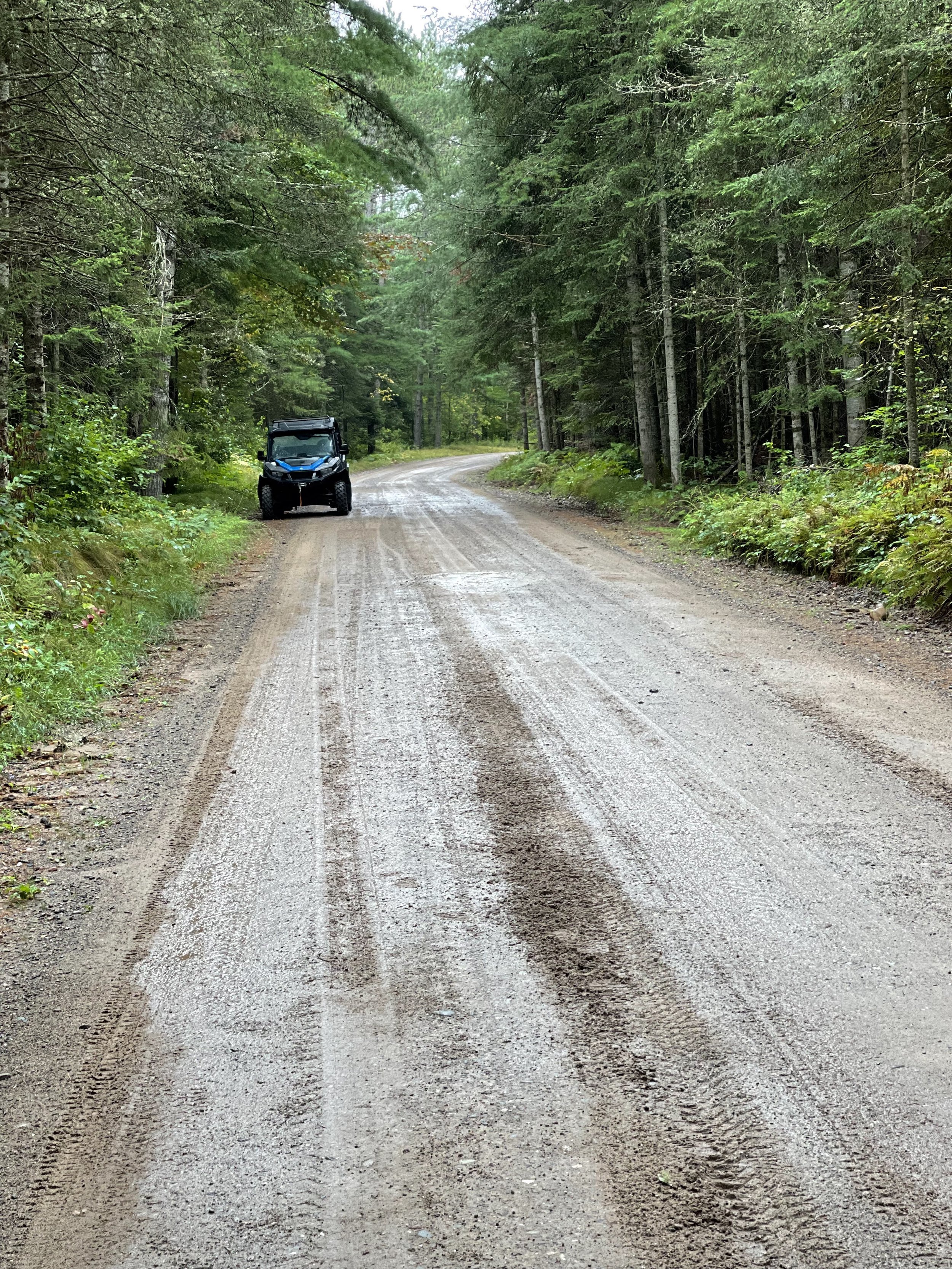  Beautiful Nicoliet National Forest 