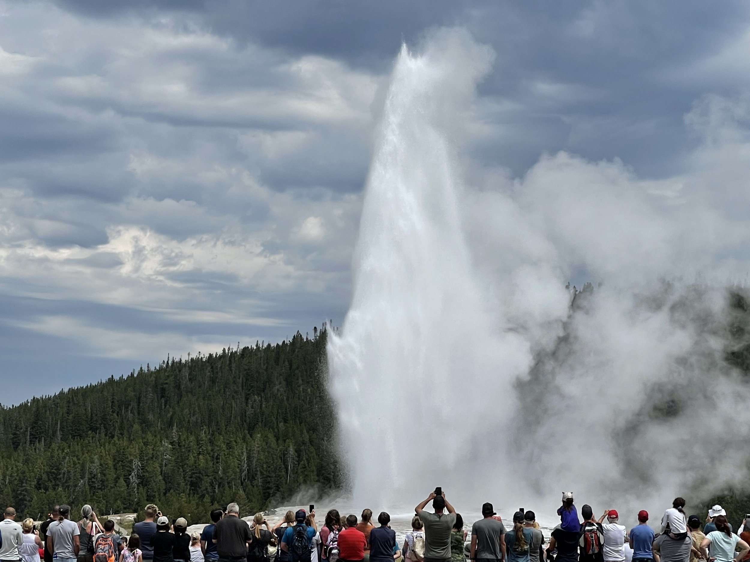  Old Faithful 