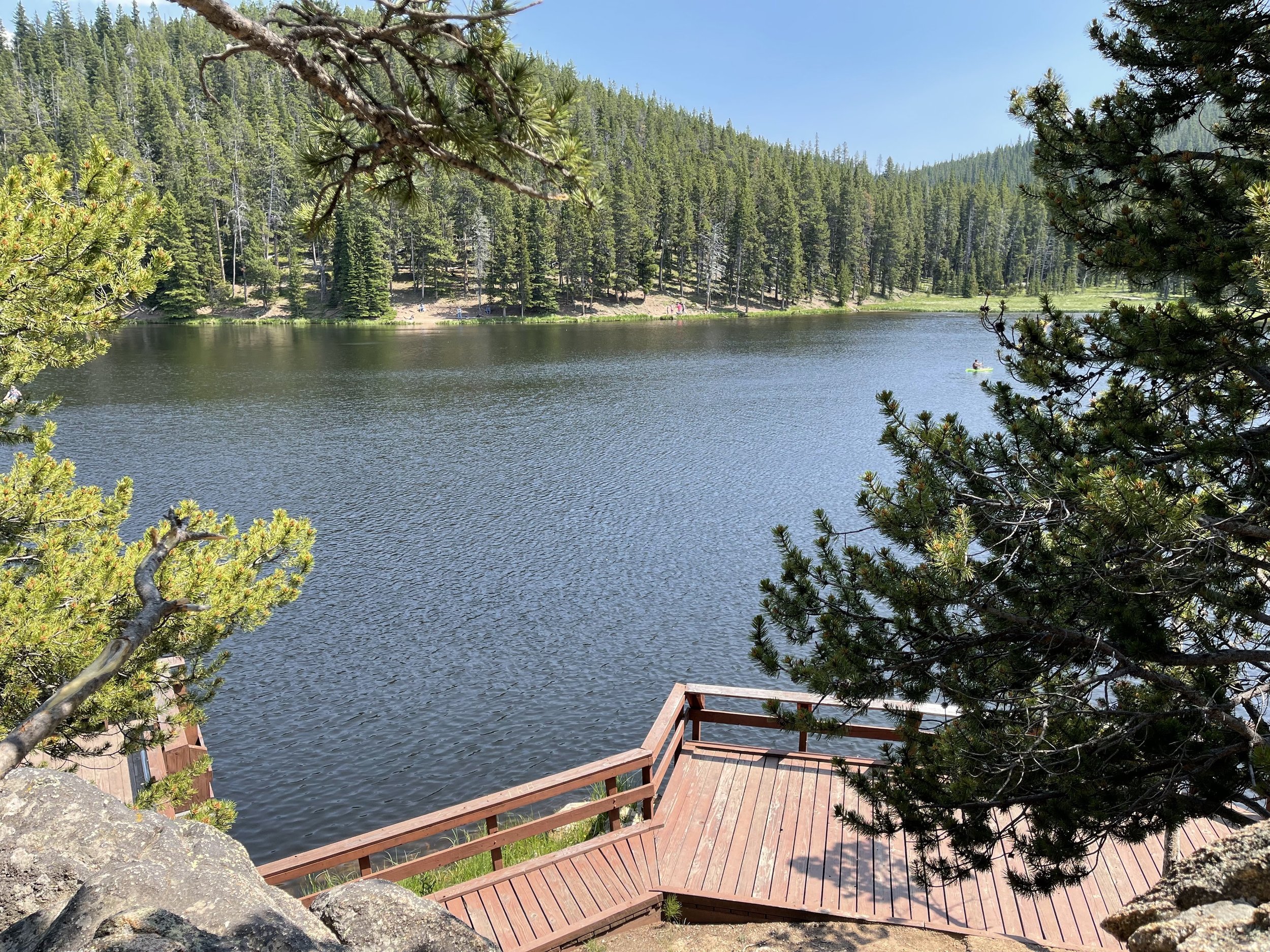  A view from walking trails near the lake. 