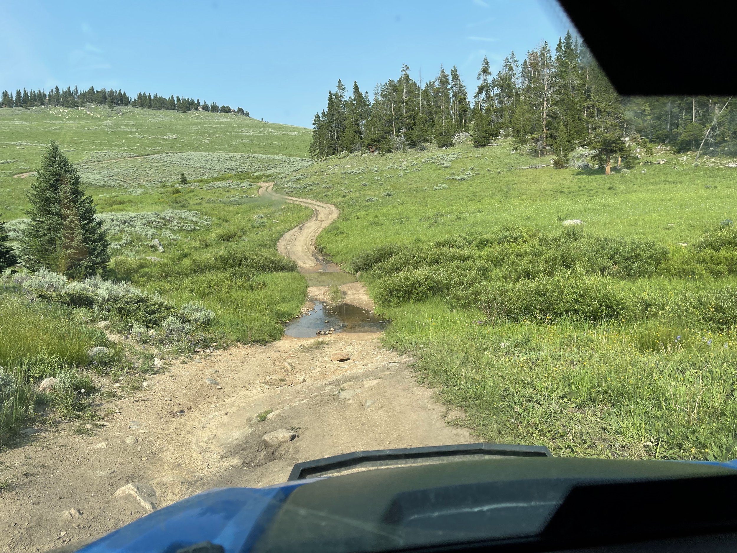  These trails are amazing! 