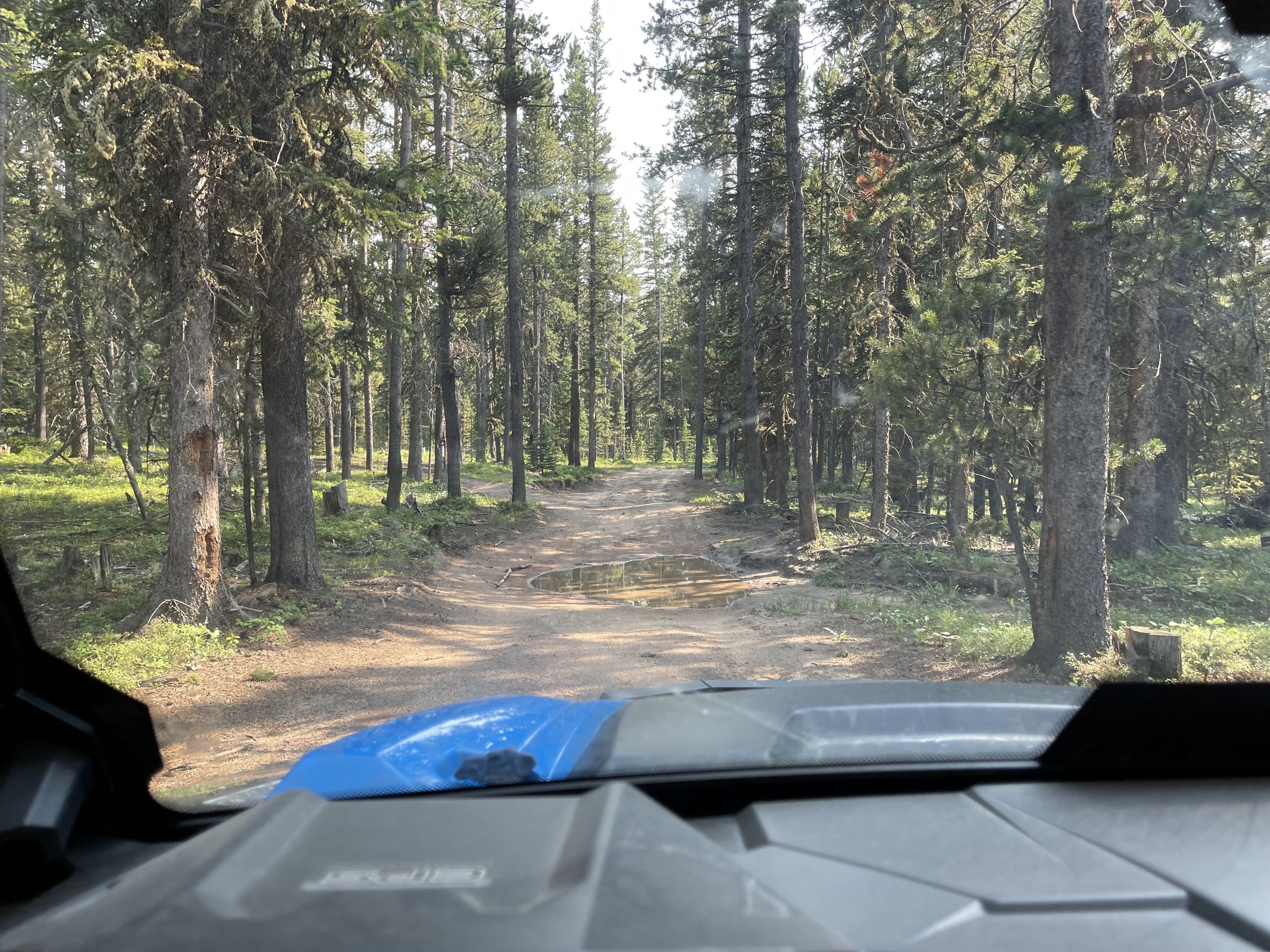  These trails are amazing! 