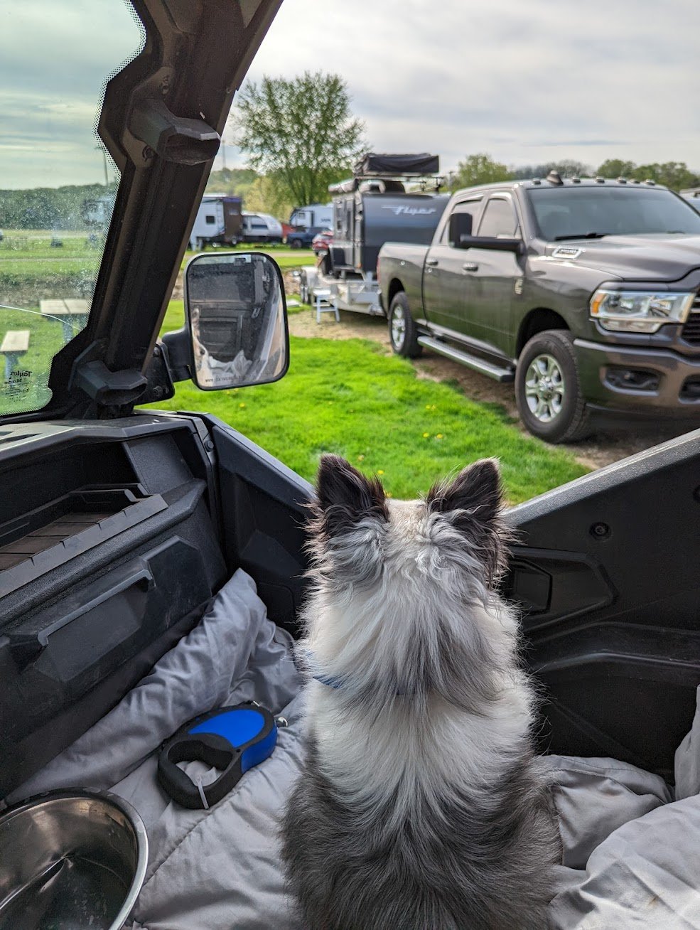  Remmington is ready to go riding! 