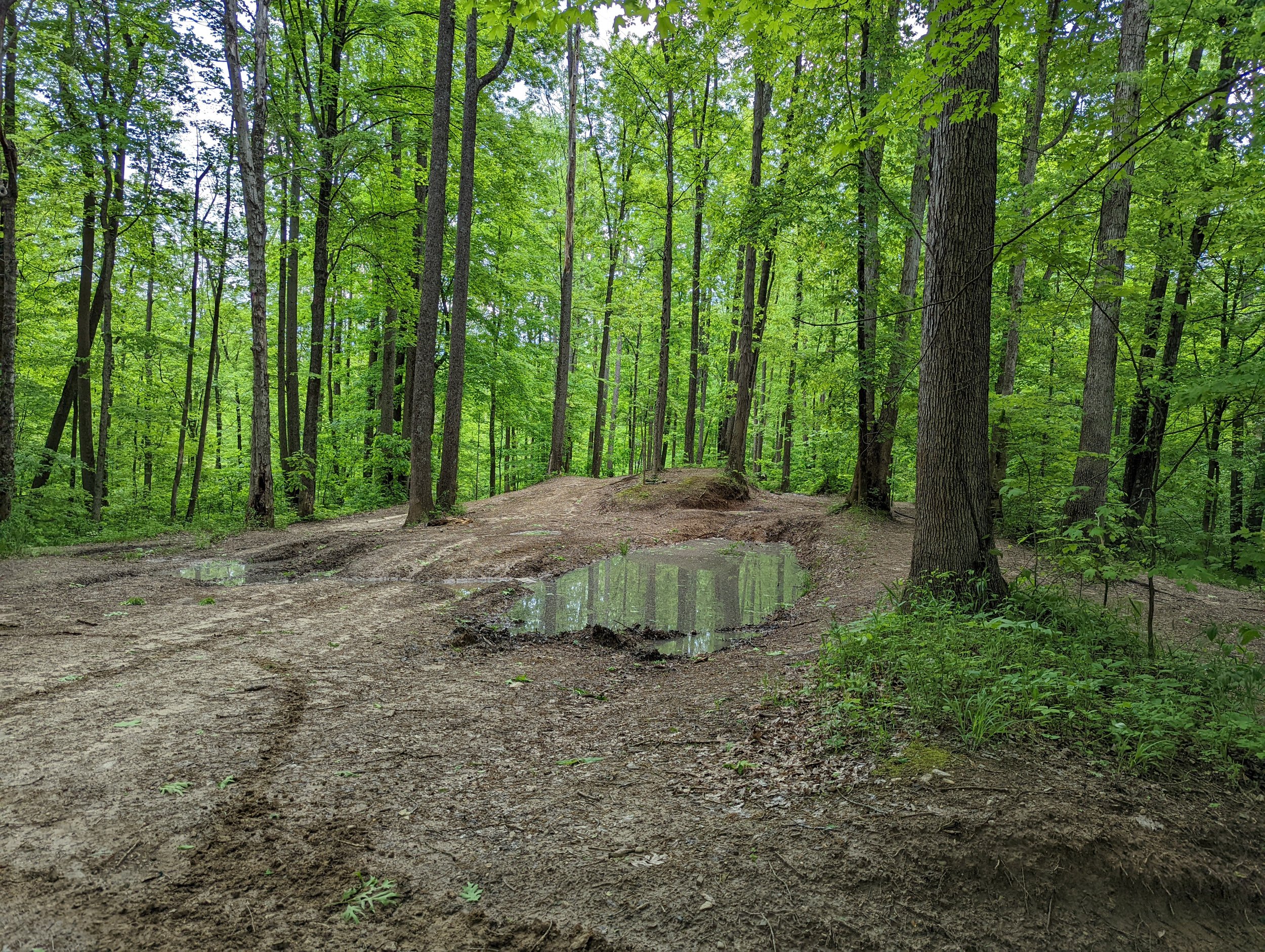  So many trails, off the main trail,  it would keep you busy for sometime!  No shortage of fun here! 