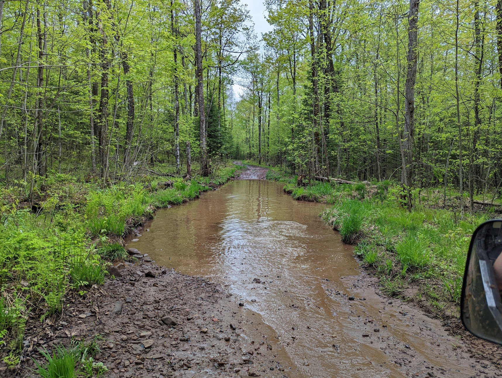  Wow, Had to turn around at this point, this trail is flooded, I will take some town roads to get around this.  This was only a mile or so, down the trail. 