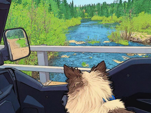 Iron / Ashland County, Wisconsin