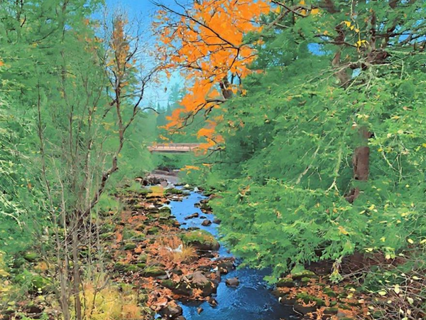 Fall Colors: Iron County