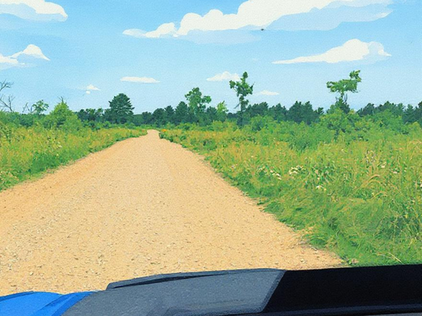 Hatfield, WI area trail photos - Clark & Jackson County Trail System